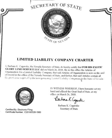 LLC Charter
